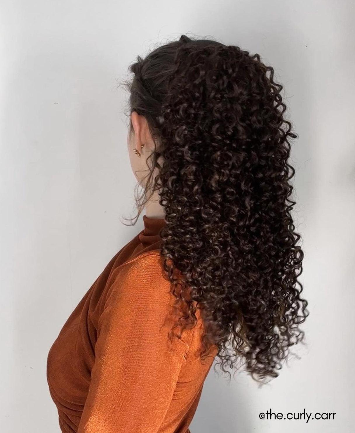 curly ponytail - chocolate brown.