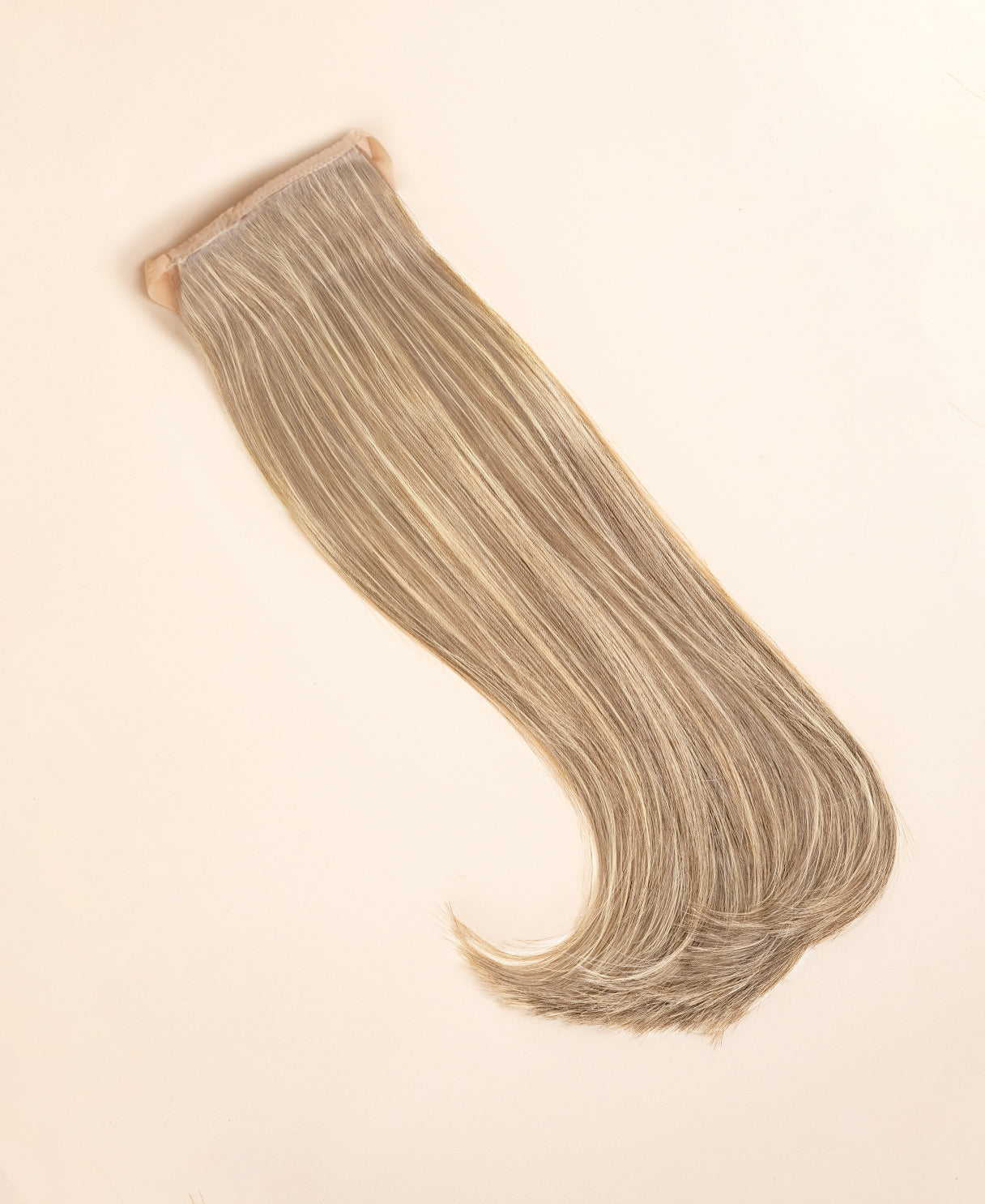 ponytail - blonde highlights.