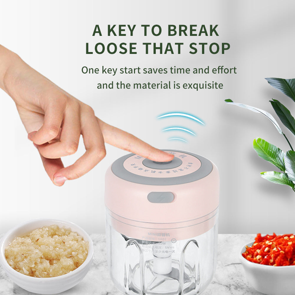 Sainishops™Mini Electric Garlic Chopper USB