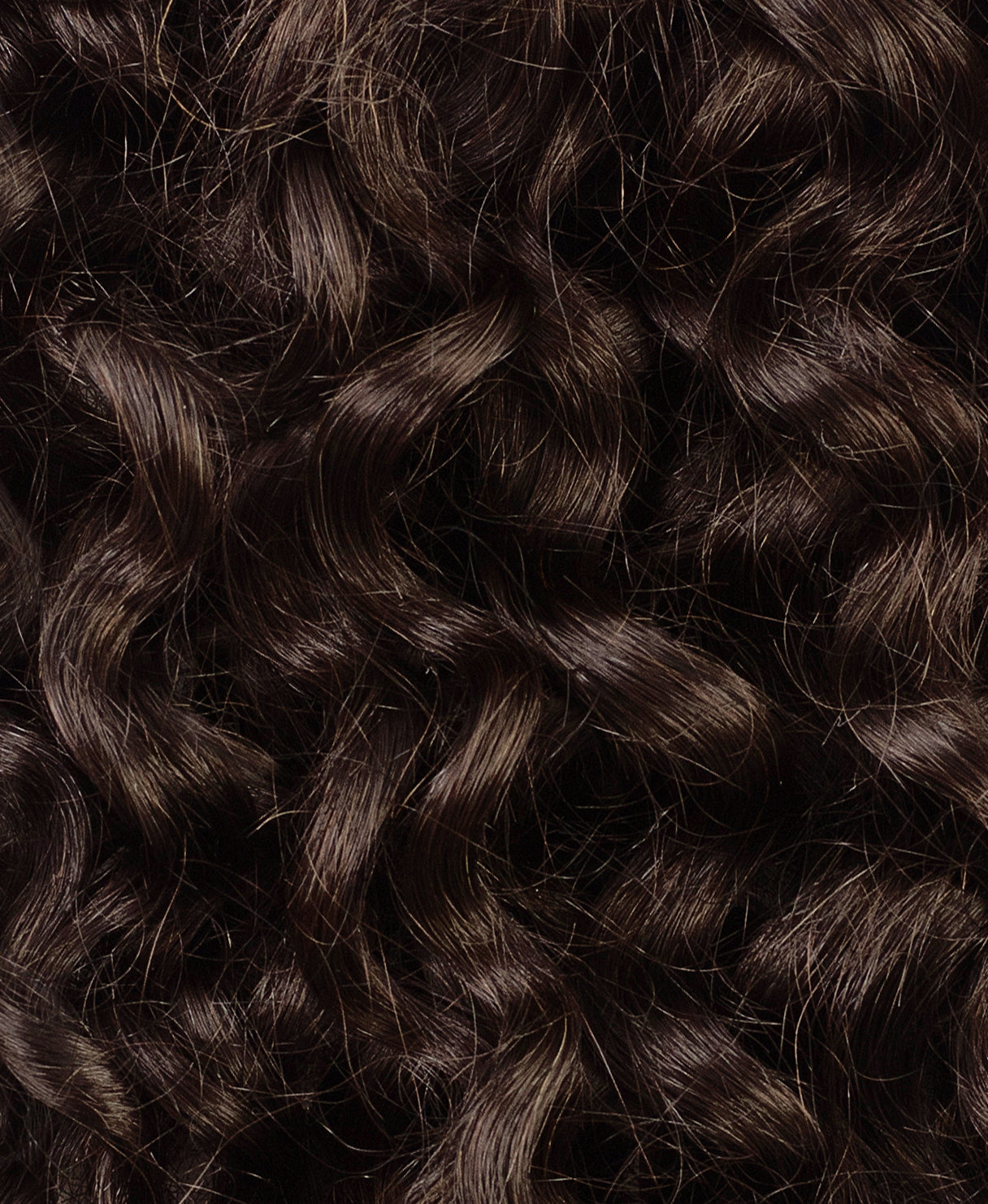 curly (3A curls) clip-in extensions medium brown.