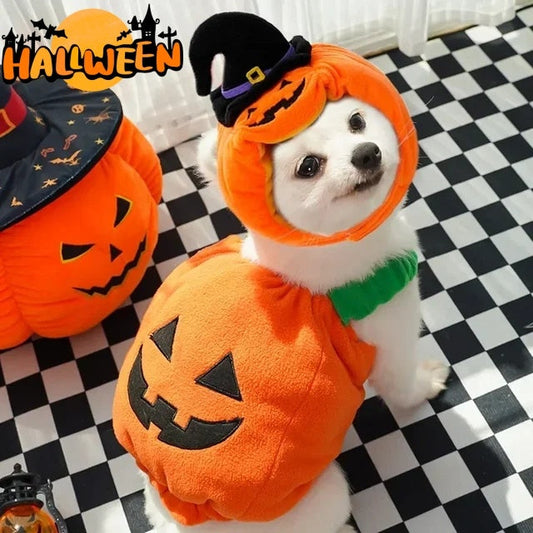 Sainishops™Halloween Pumpkin Vest For Dogs Cats Festive Pet