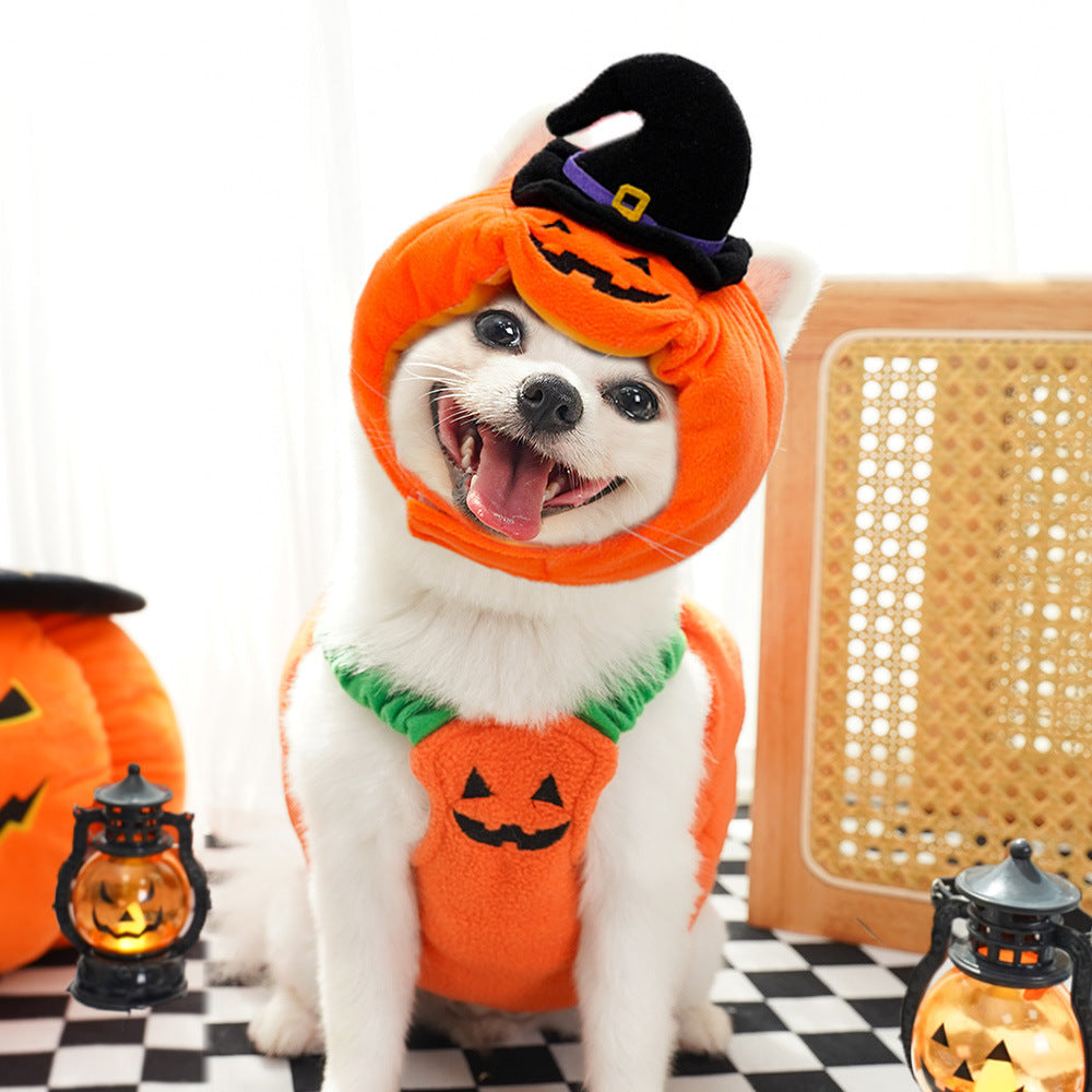 Sainishops™Halloween Pumpkin Vest For Dogs Cats Festive Pet