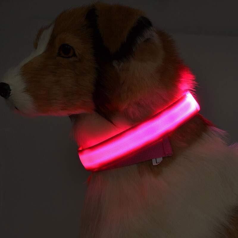 Sainishops™Nylon LED Pet Dog Luminous Collar Night Safety Flashing