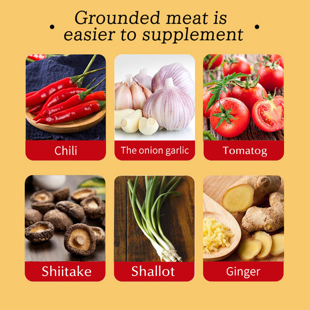 Sainishops™Mini Electric Garlic Chopper USB