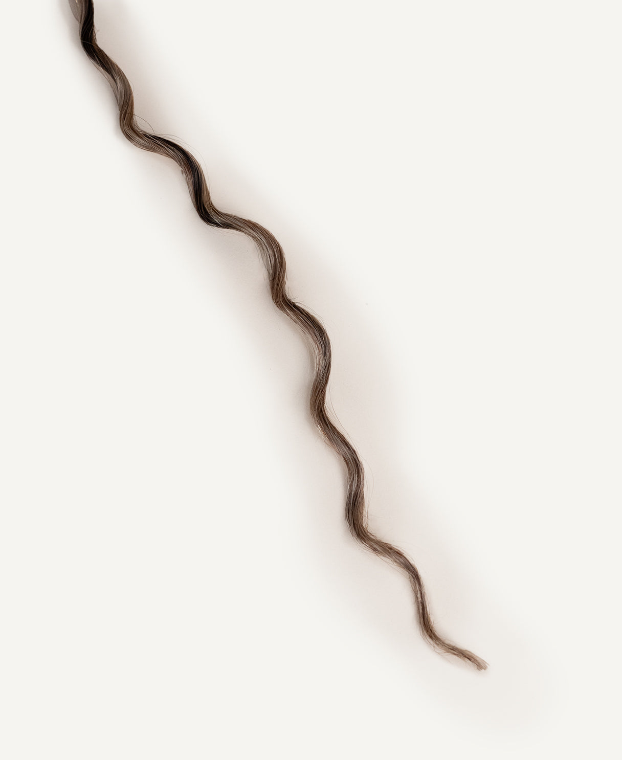 curly (3A curls) clip-in hair extensions ash brown balayage.