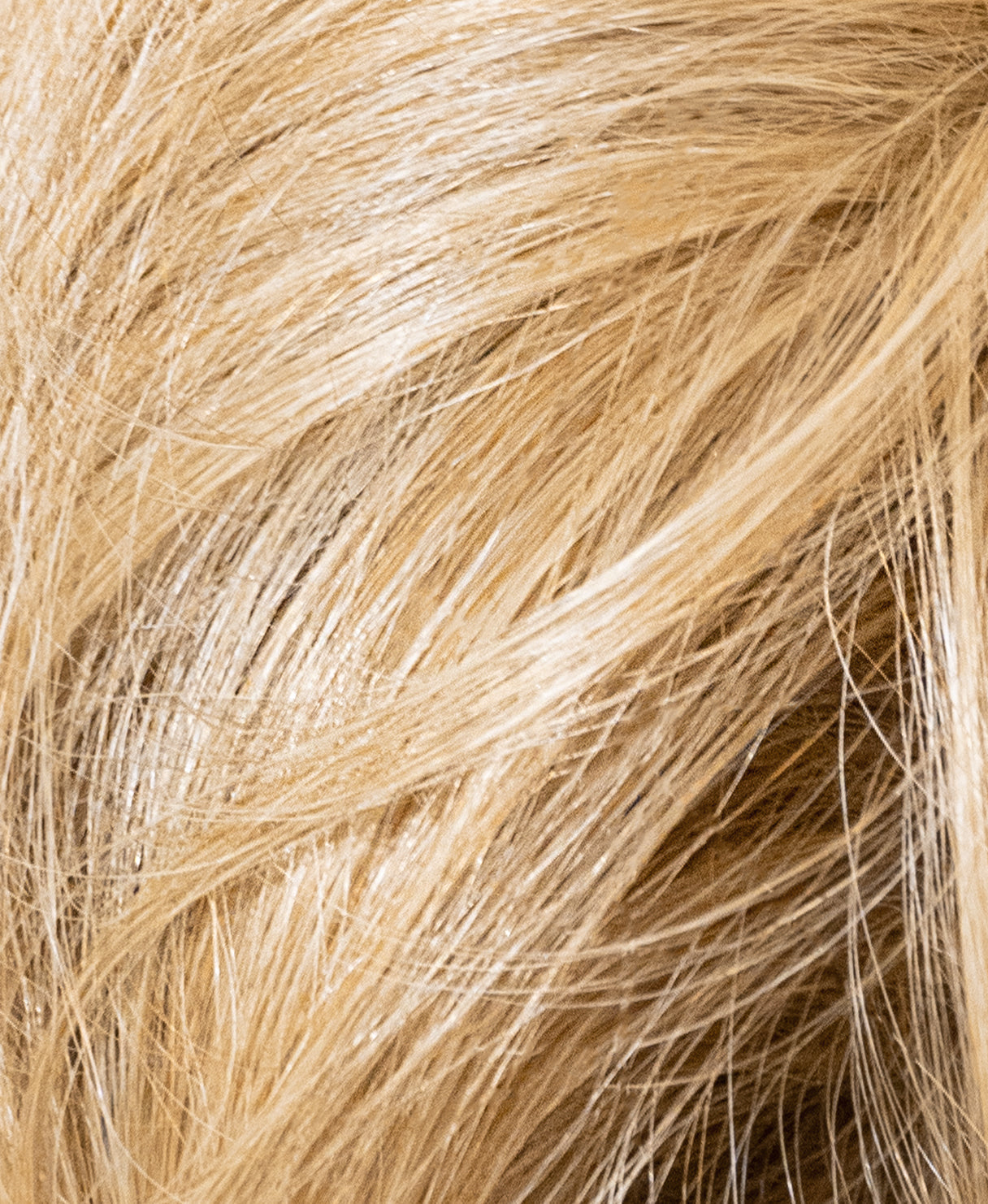 vegan fiber messy bun - honey blonde.