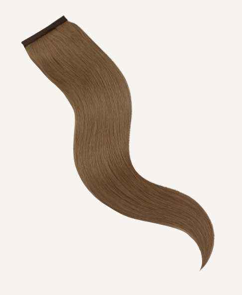 ponytail - dark blonde